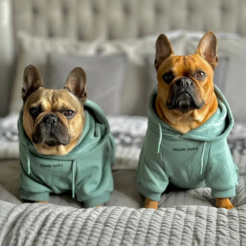 Essential Dog Hoodie - Teal