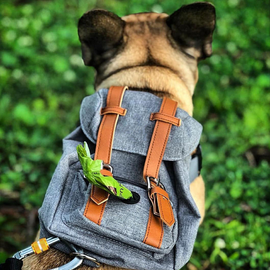 Gray Mini Dog Backpack with Waste-Bag Dispenser