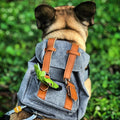 Gray Mini Dog Backpack with Waste-Bag Dispenser