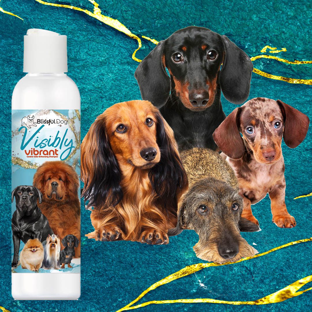 Visibly Vibrant Pet Shampoo